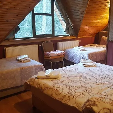 Hotel Dogal Yasam